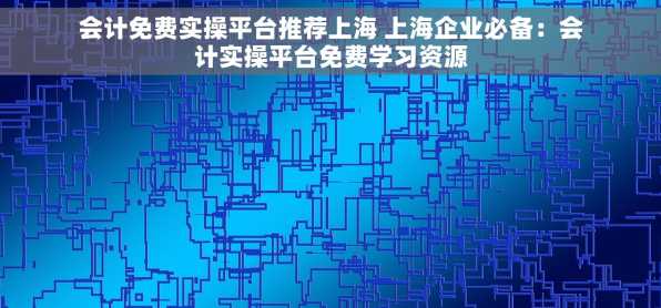 会计免费实操平台推荐上海 上海企业必备：会计实操平台免费学习资源
