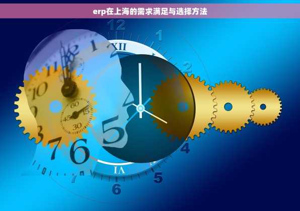 erp在上海的需求满足与选择方法