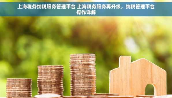 上海税务纳税服务管理平台 上海税务服务再升级，纳税管理平台操作详解