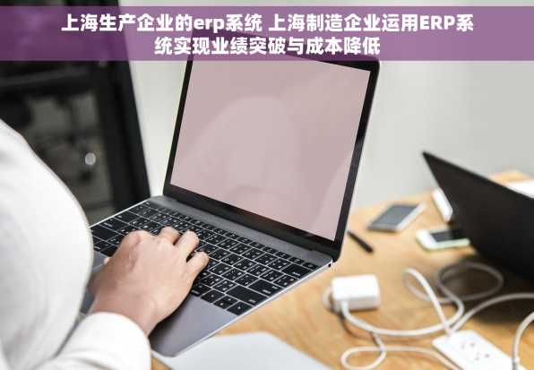 上海生产企业的erp系统 上海制造企业运用ERP系统实现业绩突破与成本降低