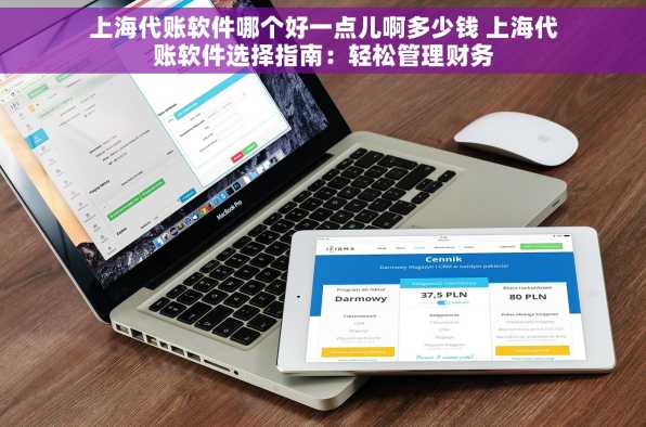 上海代账软件哪个好一点儿啊多少钱 上海代账软件选择指南：轻松管理财务