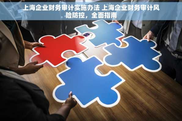 上海企业财务审计实施办法 上海企业财务审计风险防控，全面指南
