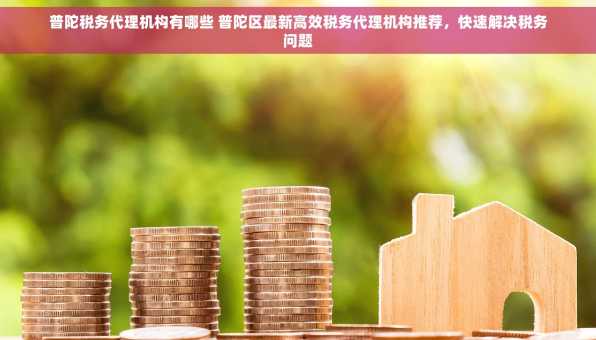 普陀税务代理机构有哪些 普陀区最新高效税务代理机构推荐，快速解决税务问题