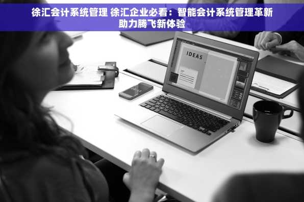 徐汇会计系统管理 徐汇企业必看：智能会计系统管理革新助力腾飞新体验