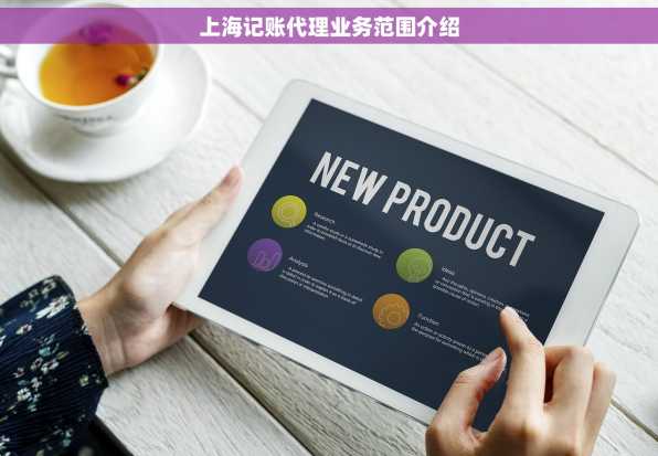 上海记账代理业务范围介绍