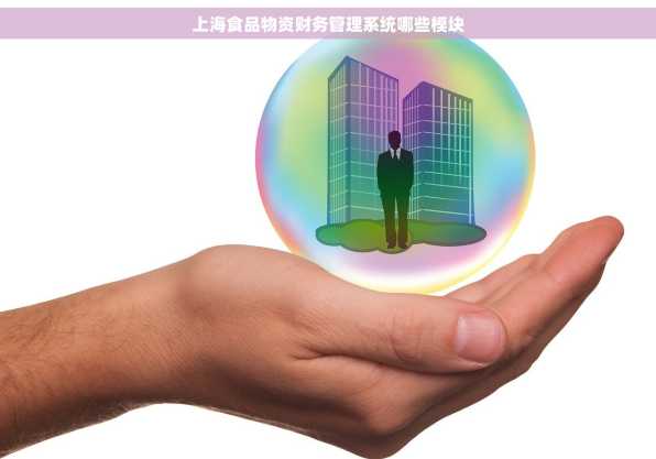 上海食品物资财务管理系统哪些模块