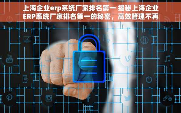 上海企业erp系统厂家排名第一 揭秘上海企业ERP系统厂家排名第一的秘密，高效管理不再是难题