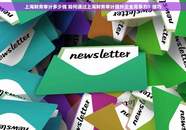 上海财务审计多少钱 如何通过上海财务审计提升企业竞争力？技巧