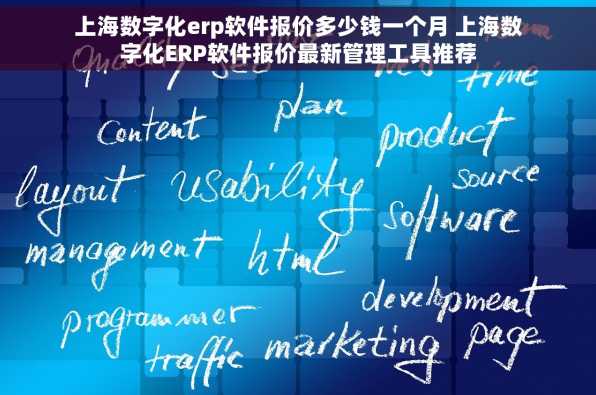 上海数字化erp软件报价多少钱一个月 上海数字化ERP软件报价最新管理工具推荐