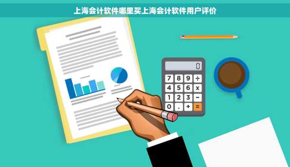 上海会计软件哪里买上海会计软件用户评价