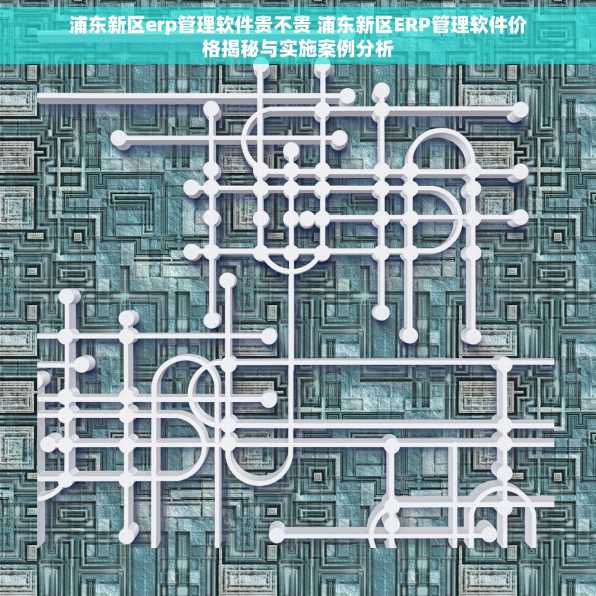 浦东新区erp管理软件贵不贵 浦东新区ERP管理软件价格揭秘与实施案例分析