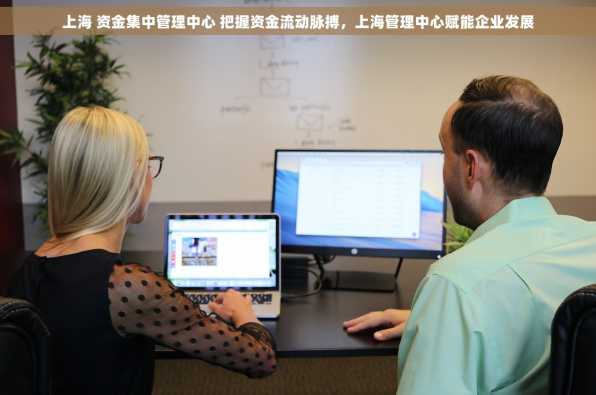 上海 资金集中管理中心 把握资金流动脉搏，上海管理中心赋能企业发展