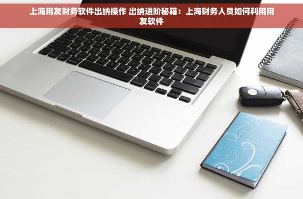 上海用友财务软件出纳操作 出纳进阶秘籍：上海财务人员如何利用用友软件