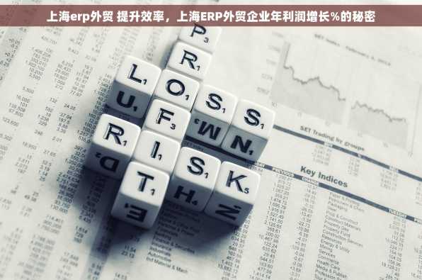 上海erp外贸 提升效率，上海ERP外贸企业年利润增长%的秘密