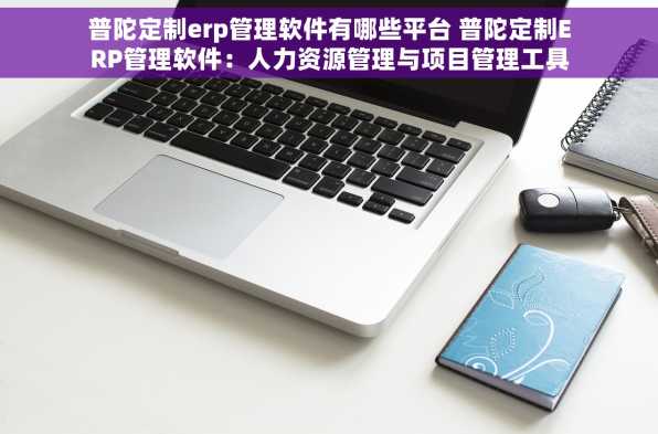 普陀定制erp管理软件有哪些平台 普陀定制ERP管理软件：人力资源管理与项目管理工具