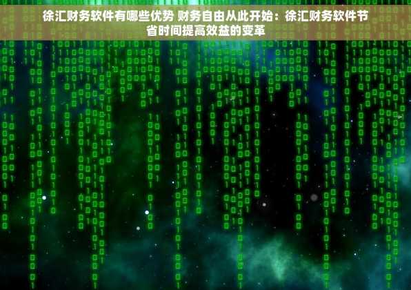 徐汇财务软件有哪些优势 财务自由从此开始：徐汇财务软件节省时间提高效益的变革