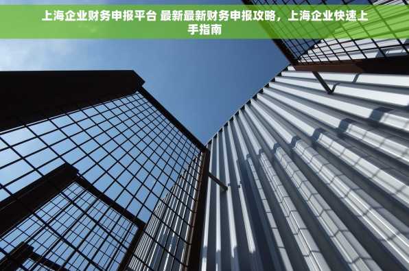 上海企业财务申报平台 最新最新财务申报攻略，上海企业快速上手指南