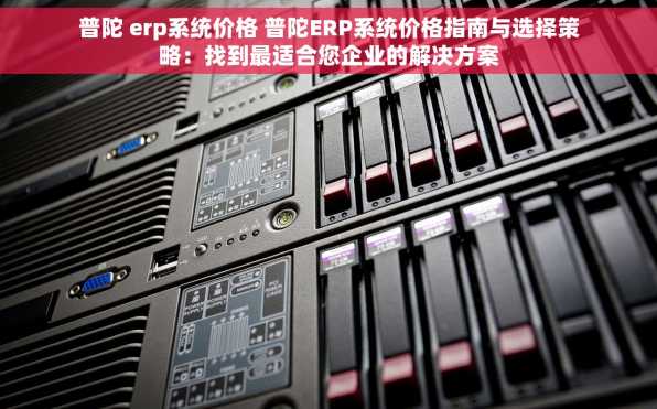 普陀 erp系统价格 普陀ERP系统价格指南与选择策略：找到最适合您企业的解决方案