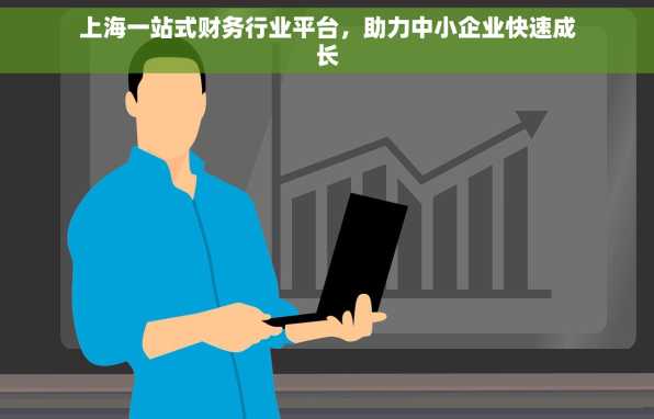 上海一站式财务行业平台，助力中小企业快速成长