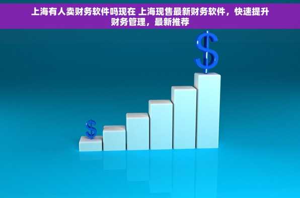 上海有人卖财务软件吗现在 上海现售最新财务软件，快速提升财务管理，最新推荐