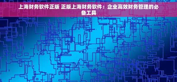 上海财务软件正版 正版上海财务软件：企业高效财务管理的必备工具