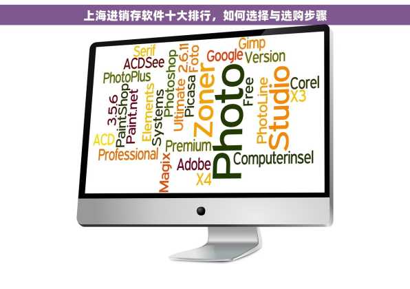 上海进销存软件十大排行，如何选择与选购步骤
