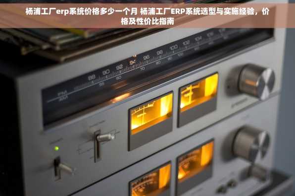 杨浦工厂erp系统价格多少一个月 杨浦工厂ERP系统选型与实施经验，价格及性价比指南