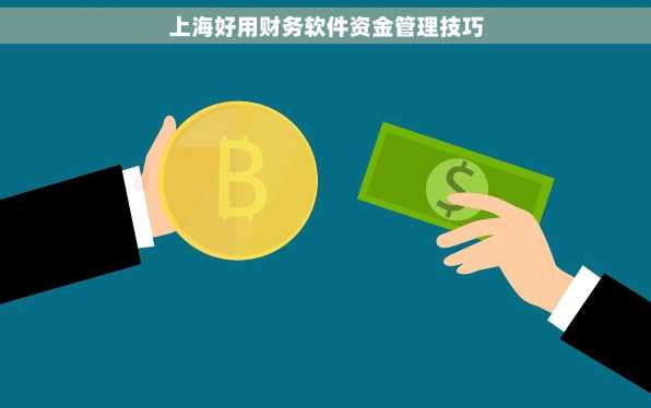 上海好用财务软件资金管理技巧