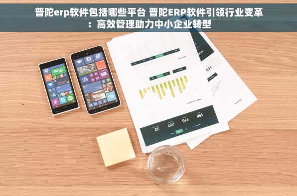 普陀erp软件包括哪些平台 普陀ERP软件引领行业变革：高效管理助力中小企业转型