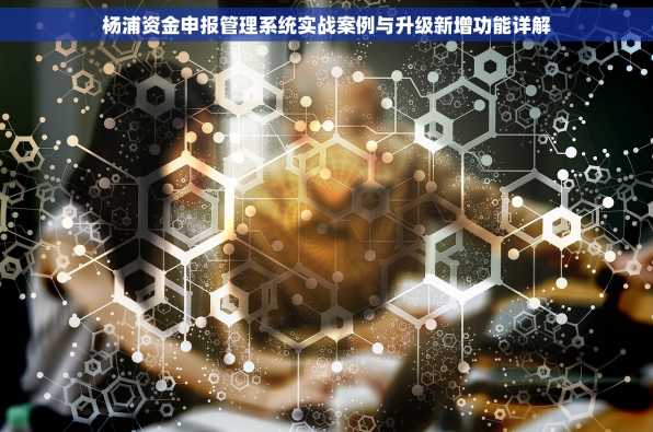 杨浦资金申报管理系统实战案例与升级新增功能详解