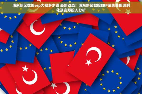 浦东新区数控erp大概多少钱 最新动态！浦东新区数控ERP系统费用透明化及实际投入分析