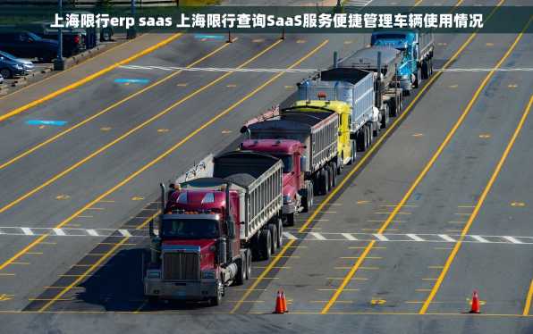 上海限行erp saas 上海限行查询SaaS服务便捷管理车辆使用情况