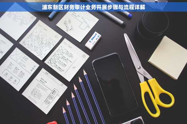 浦东新区财务审计业务开展步骤与流程详解