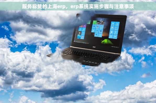服务称赞的上海erp，erp系统实施步骤与注意事项