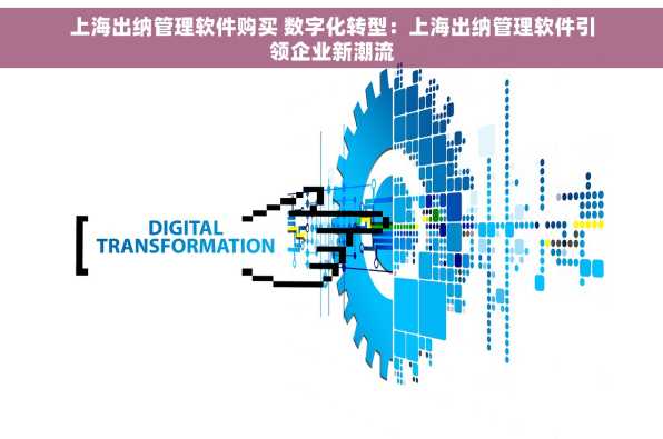 上海出纳管理软件购买 数字化转型：上海出纳管理软件引领企业新潮流