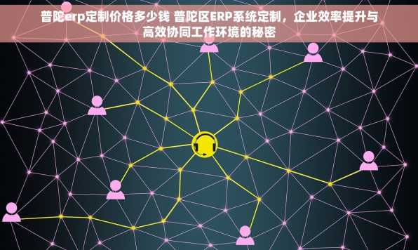 普陀erp定制价格多少钱 普陀区ERP系统定制，企业效率提升与高效协同工作环境的秘密
