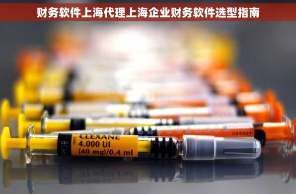 财务软件上海代理上海企业财务软件选型指南
