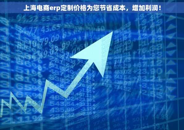 上海电商erp定制价格为您节省成本，增加利润！