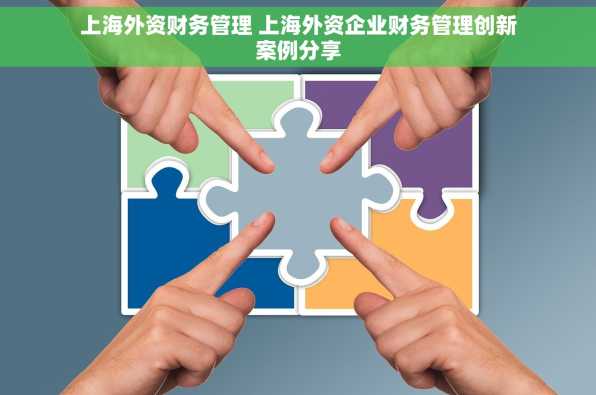 上海外资财务管理 上海外资企业财务管理创新案例分享