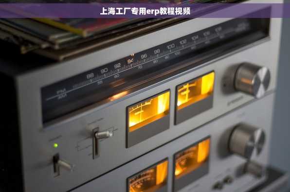 上海工厂专用erp教程视频