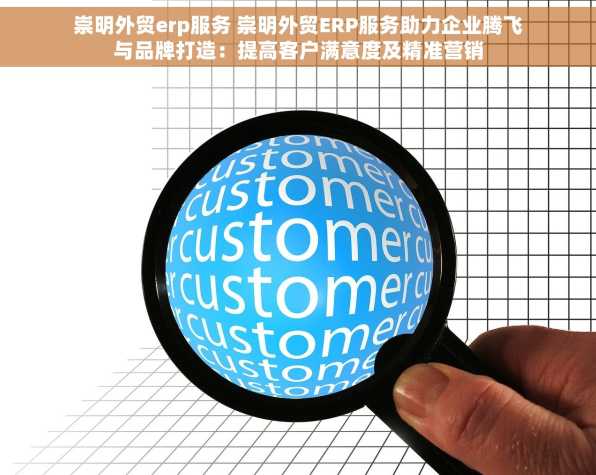 崇明外贸erp服务 崇明外贸ERP服务助力企业腾飞与品牌打造：提高客户满意度及精准营销