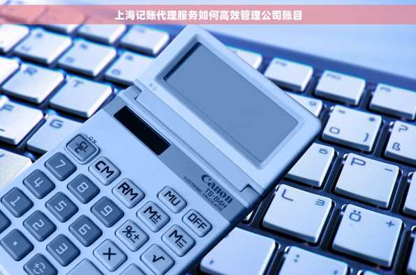上海记账代理服务如何高效管理公司账目