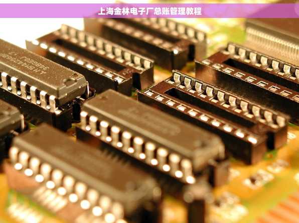 上海金林电子厂总账管理教程