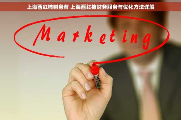 上海西红柿财务有 上海西红柿财务服务与优化方法详解