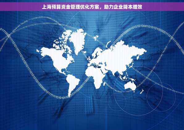 上海预算资金管理优化方案，助力企业降本增效