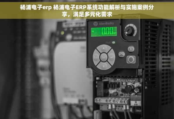 杨浦电子erp 杨浦电子ERP系统功能解析与实施案例分享，满足多元化需求