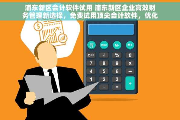 浦东新区会计软件试用 浦东新区企业高效财务管理新选择，免费试用顶尖会计软件，优化财务流程