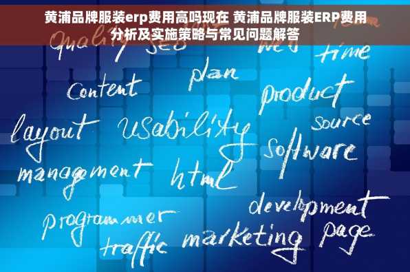 黄浦品牌服装erp费用高吗现在 黄浦品牌服装ERP费用分析及实施策略与常见问题解答
