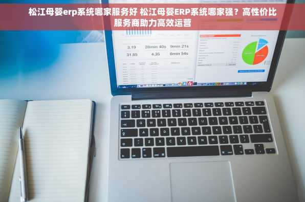 松江母婴erp系统哪家服务好 松江母婴ERP系统哪家强？高性价比服务商助力高效运营