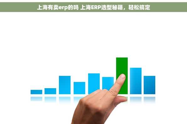 上海有卖erp的吗 上海ERP选型秘籍，轻松搞定